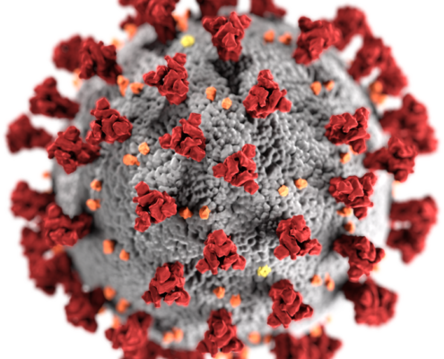 Coronavirus